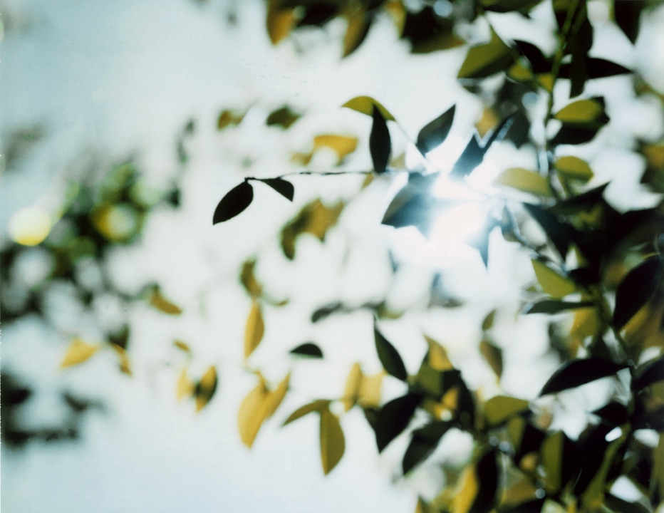 Flare. Thomas Demand. Coleccion Jumex