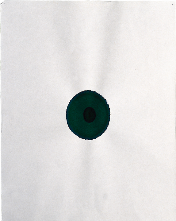 Captura de pantalla 2024 09 03 a la(s) 12.02.34