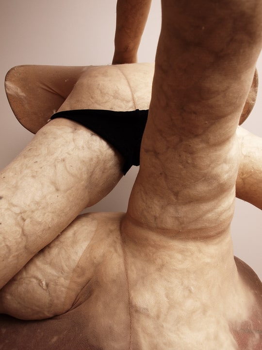 Sarah Lucas. Pepsi & Cocky #1–#12, 2008. La Colección Jumex, México