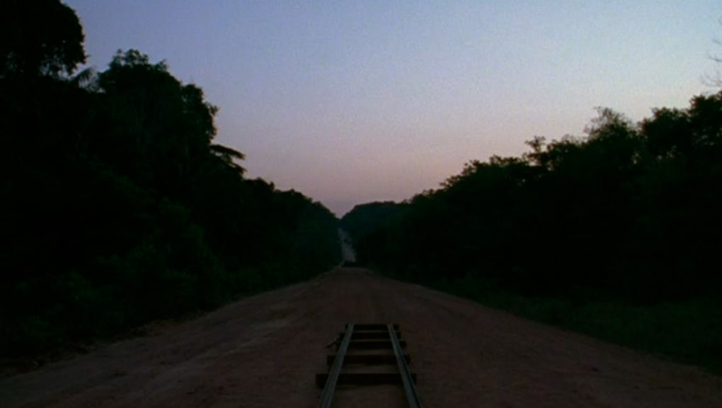 Marine Hugonnier. Traveling Amazonia, 2006. La Colección Jumex, México