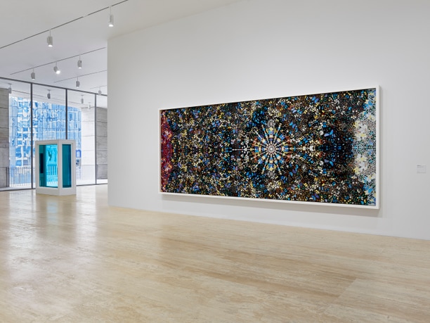 DAMIEN HIRST: TO LIVE FOREVER (FOR A WHILE) - Museo Jumex