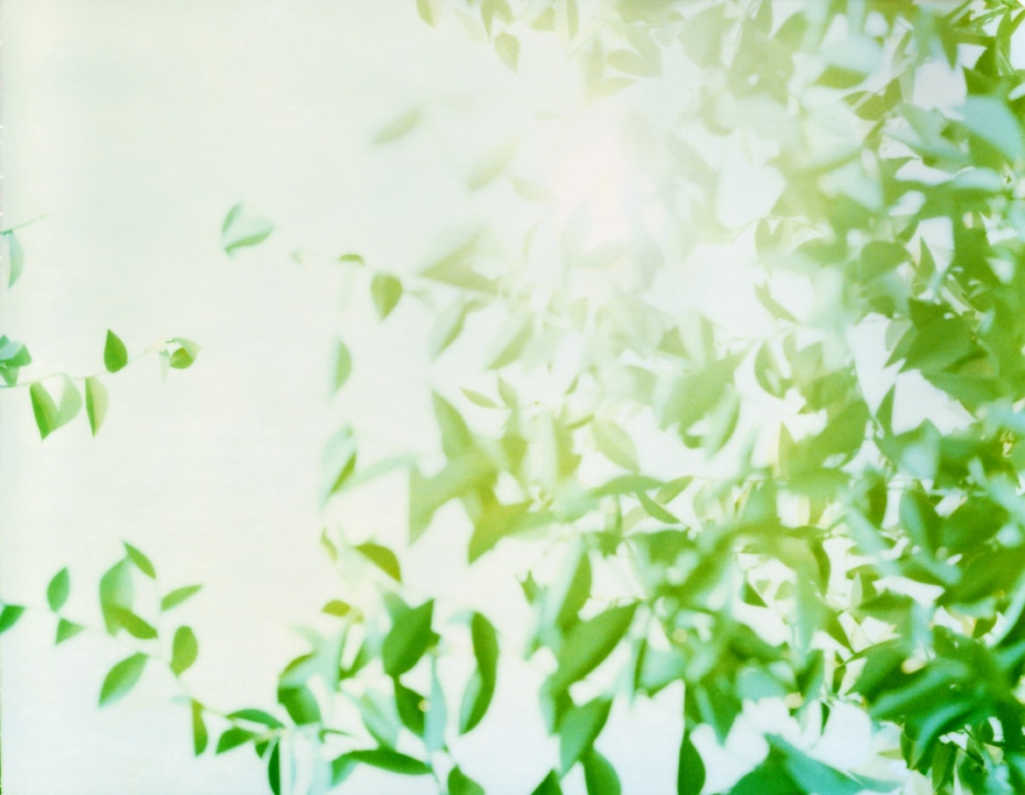 Flare. Thomas Demand. Coleccion Jumex