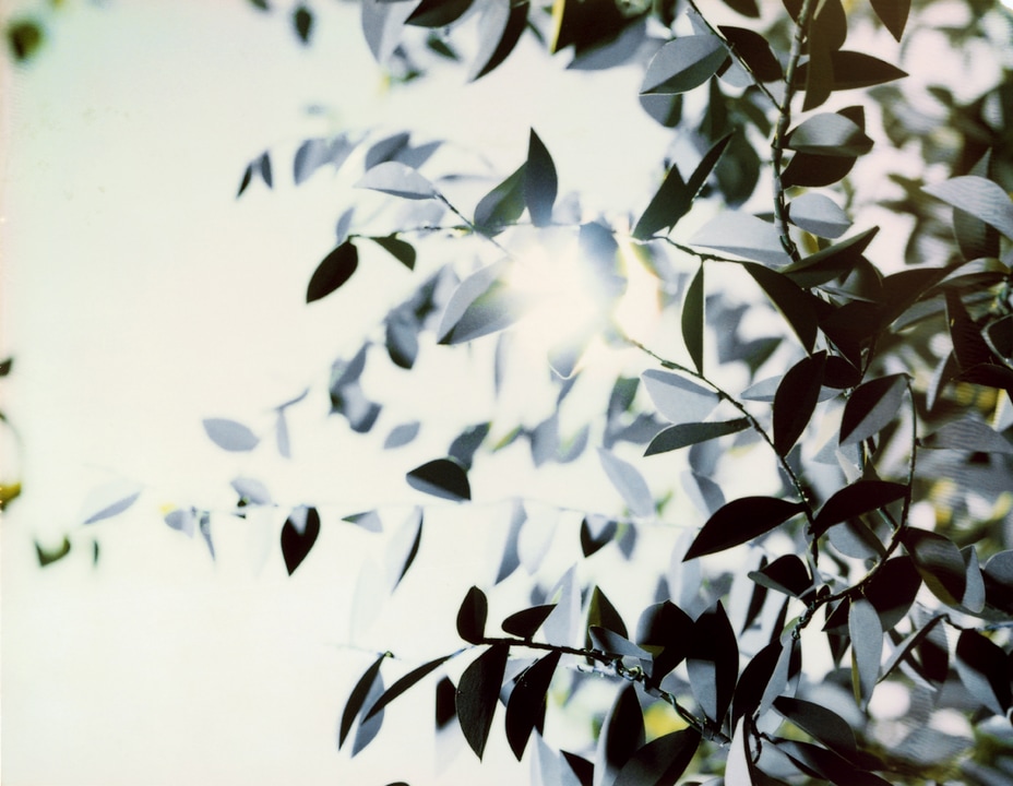 Flare. Thomas Demand. Coleccion Jumex