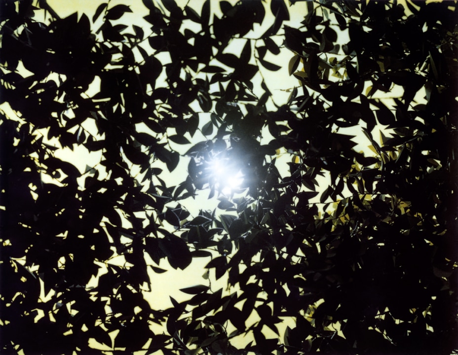 Flare03_400dpi.jpgFlare. Thomas Demand. Coleccion Jumex