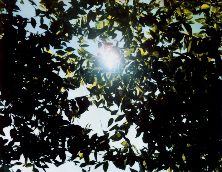 Flare. Thomas Demand. coleccion jumex