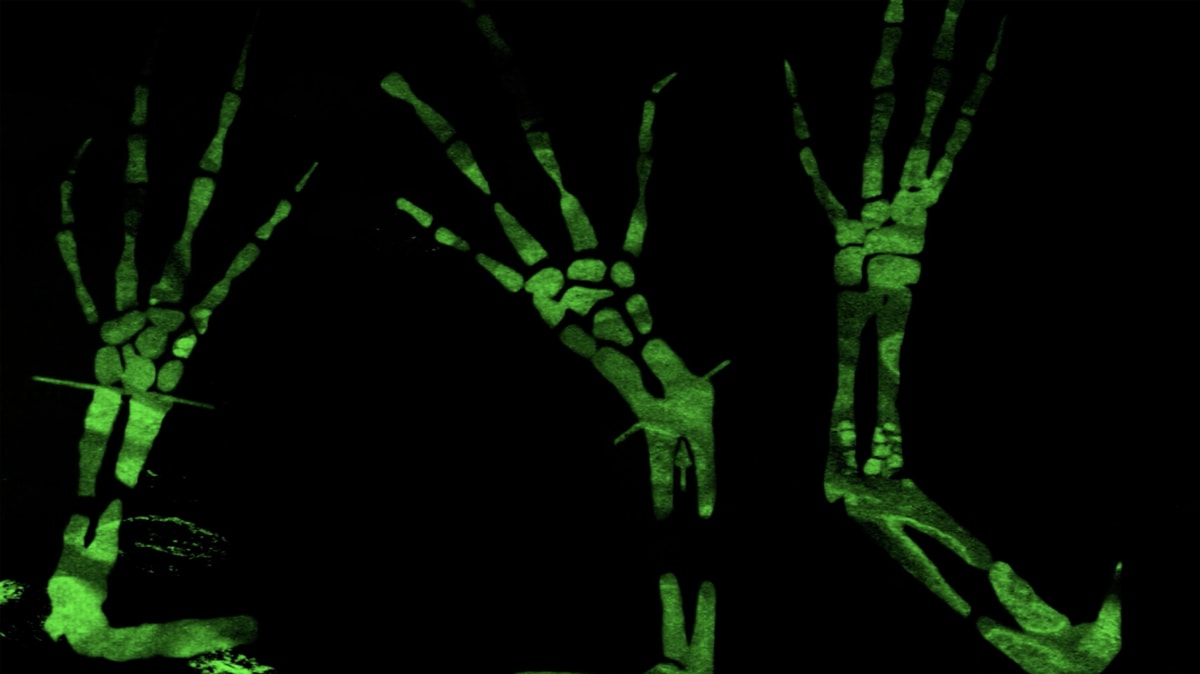 Melanie Smith, Fotograma de Axolotl, 2025, Cortesía de la artista