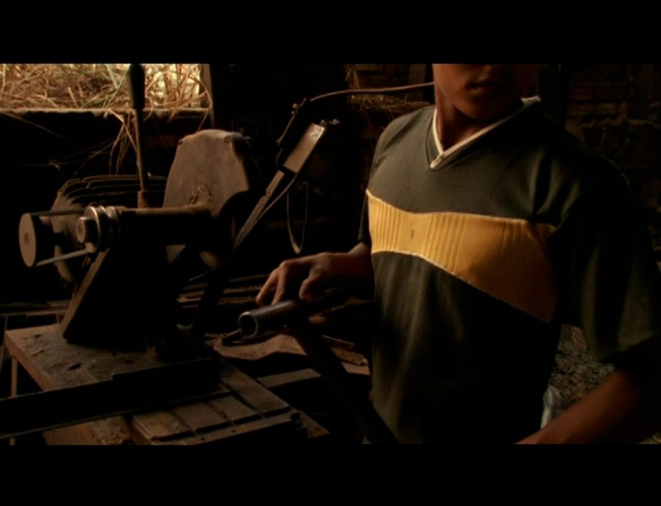 Marine Hugonnier. Traveling Amazonia, 2006. La Colección Jumex, México