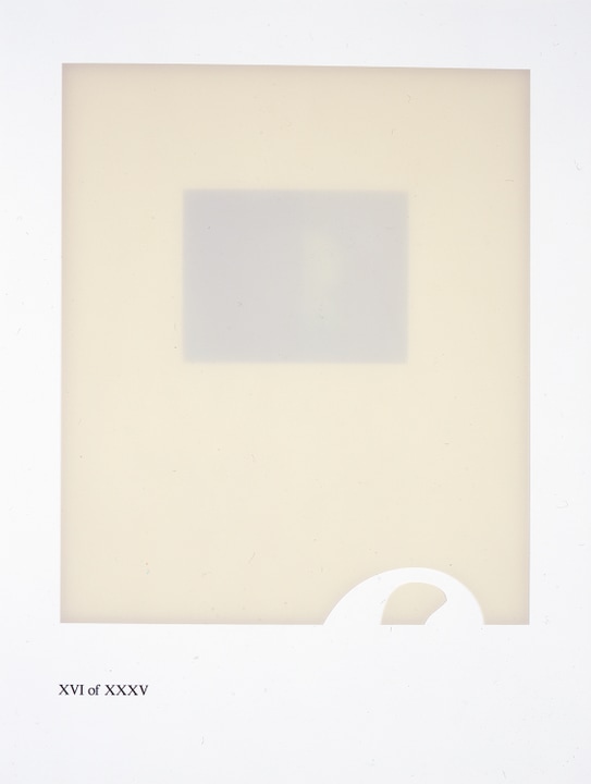 Stephen Prina. What´s Wrong? Open the Door! Colección Jumex