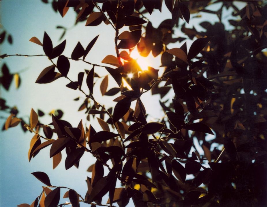 Flare. Thomas Demand. Coleccion Jumex