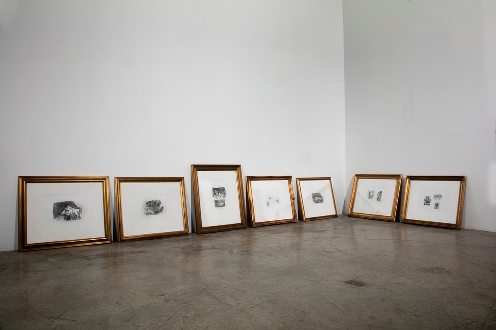 Marianacastillodeball itrises 8