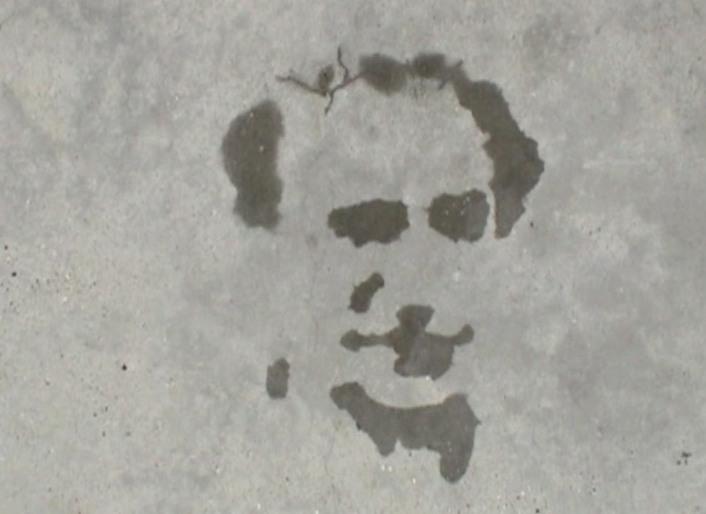 Munozoscarproyectopm116