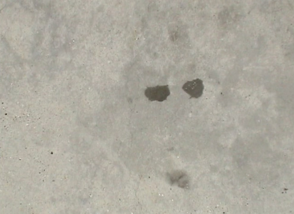 Munozoscarproyectopm123