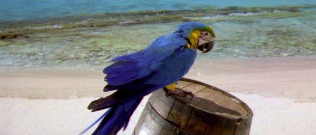 Grahamrodneyvexationi019  sinmarco