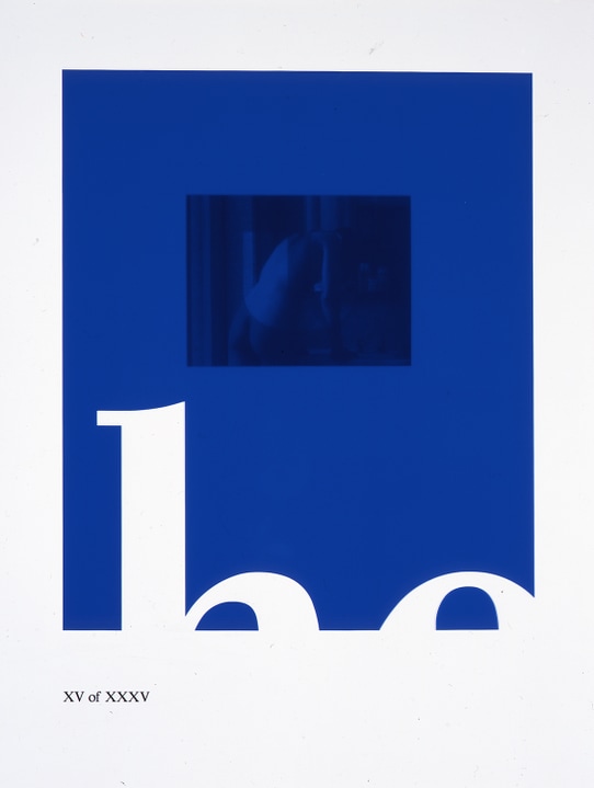 Stephen Prina. What´s Wrong? Open the Door! Colección Jumex