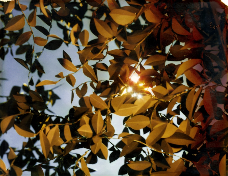 Flare. Thomas Demand. Coleccion Jumex