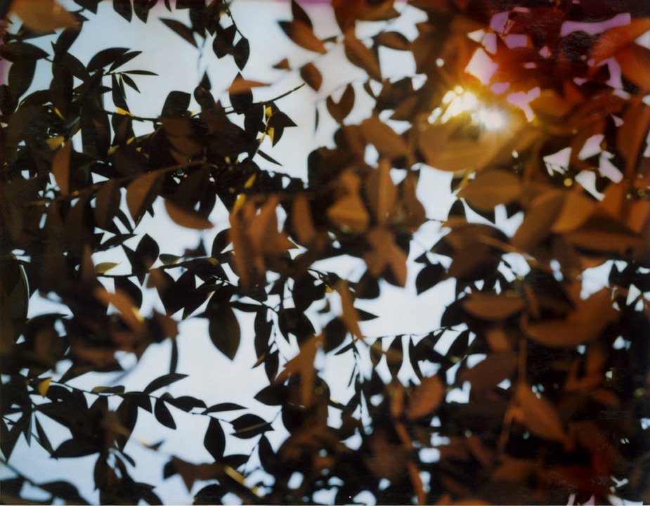 Flare. Thomas Demand. Coleccion Jumex