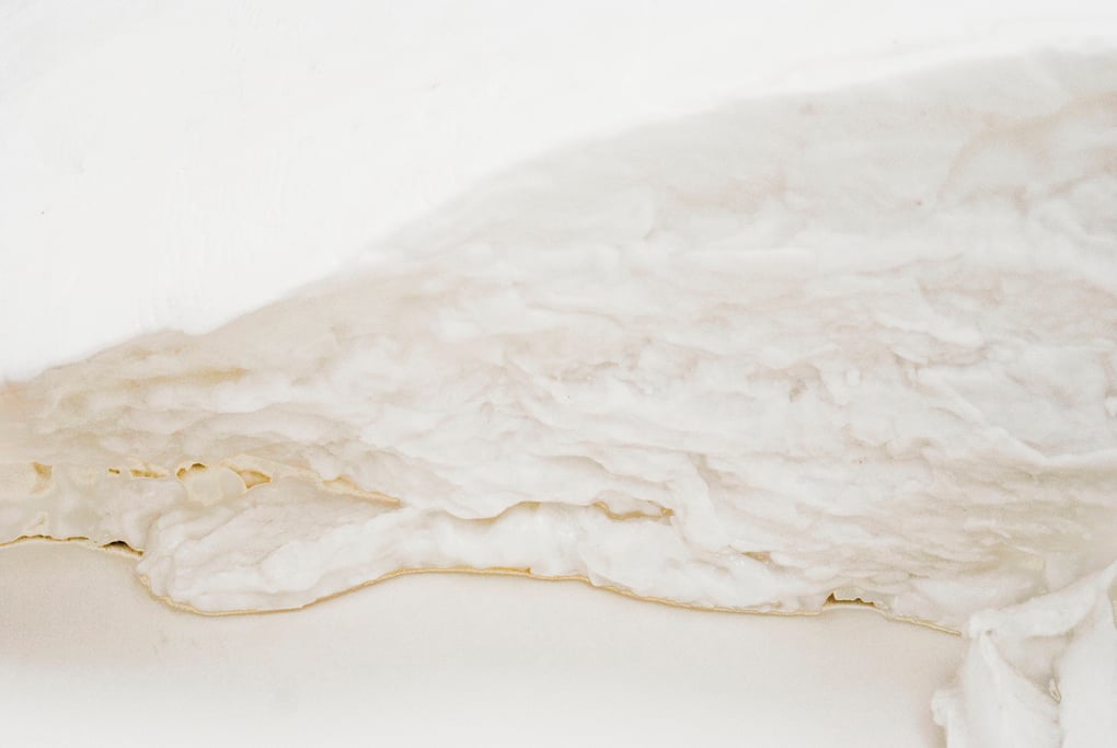 Matthew Barney coleccio.jumex