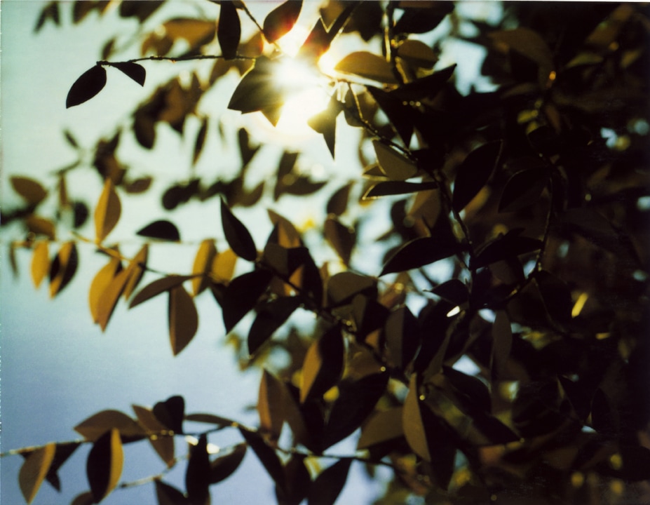 Flare. Thomas Demand. Coleccion Jumex