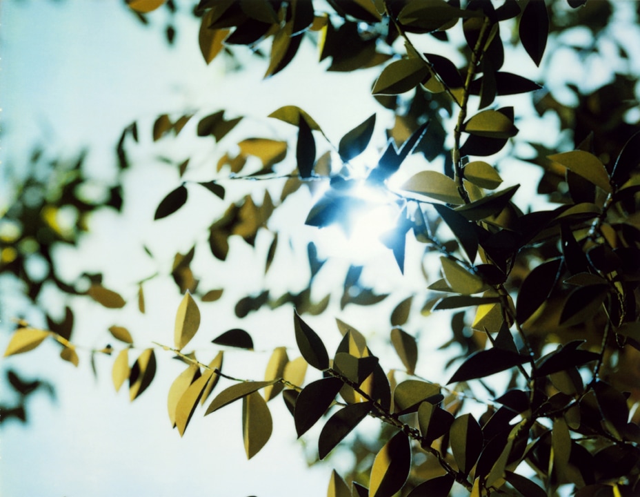 Flare. Thomas Demand. Coleccion Jumex