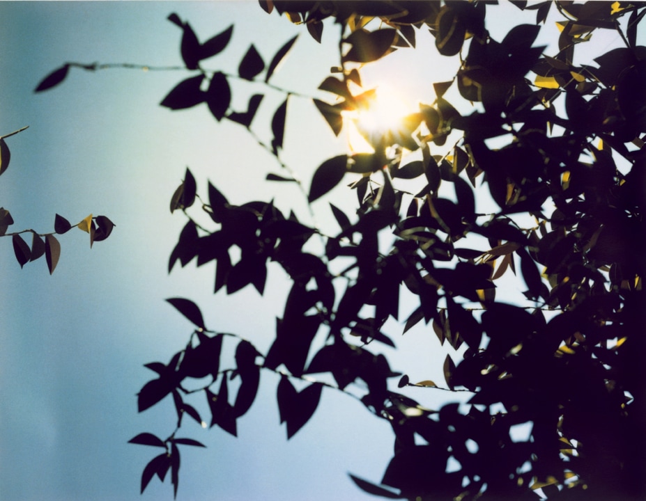 Flare. Thomas Demand. Coleccion Jumex