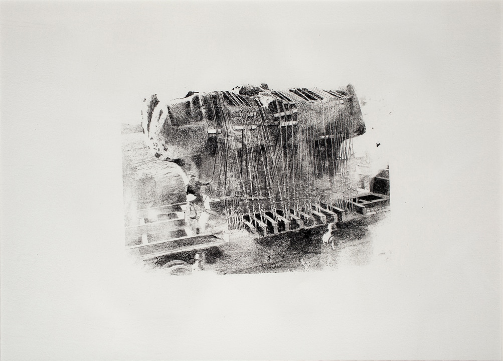 Marianacastillodeball itrises 1