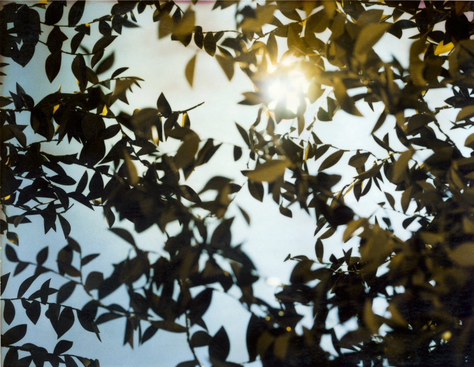 Flare. Thomas Demand. Coleccion Jumex