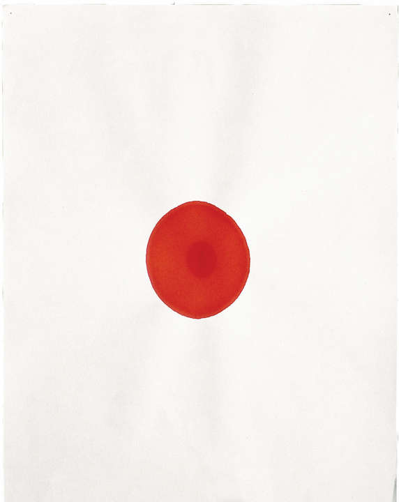 Captura de pantalla 2024 09 03 a la(s) 12.00.47