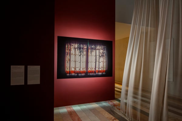 MUSEO EN VOZ ALTA: VISIONES DIFUSAS