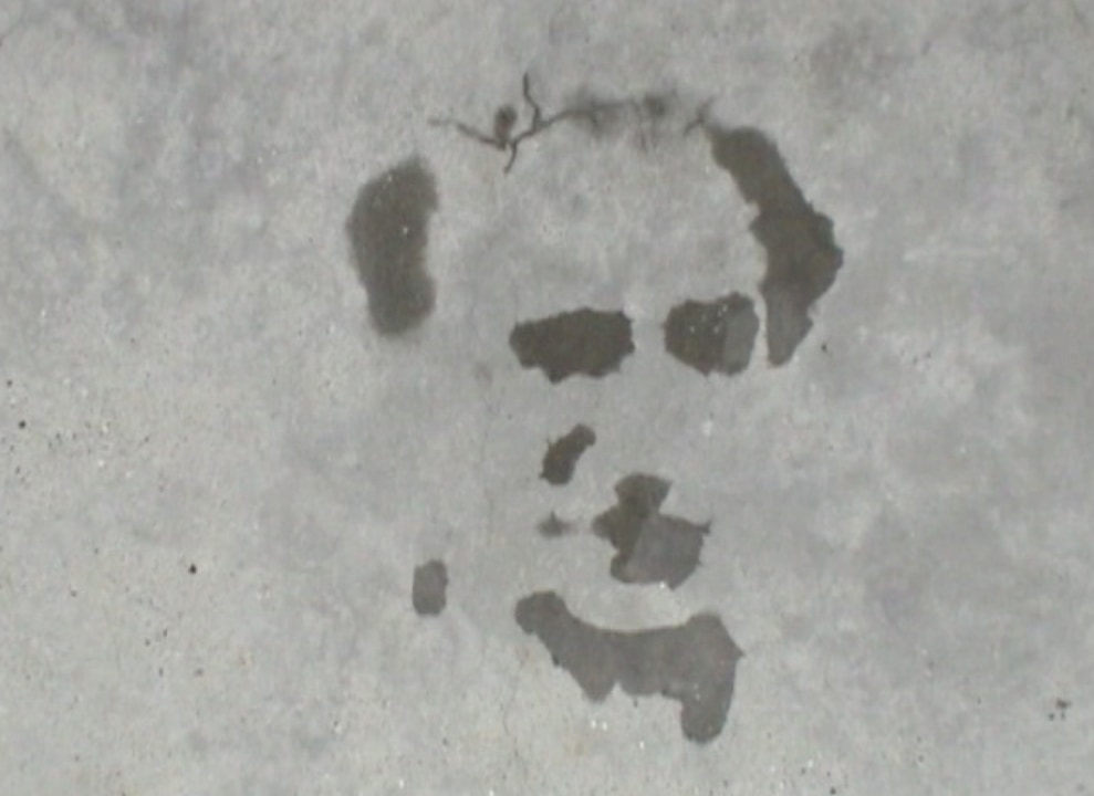 Munozoscarproyectopm117