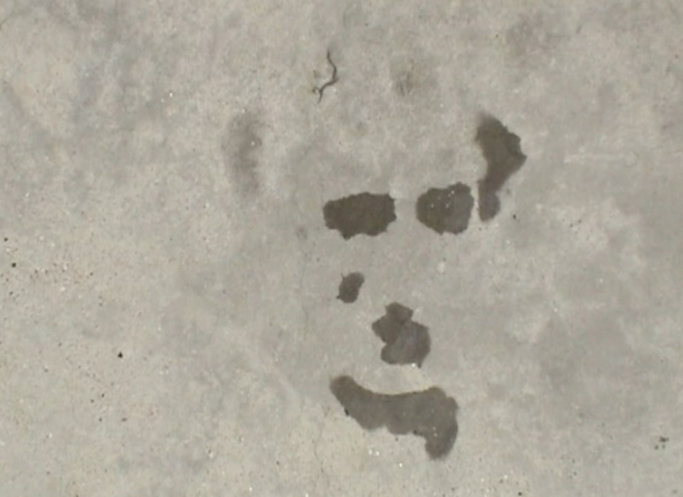 Munozoscarproyectopm119