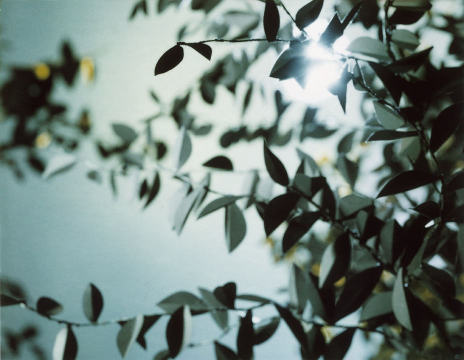 Flare. Thomas Demand. Coleccion Jumex