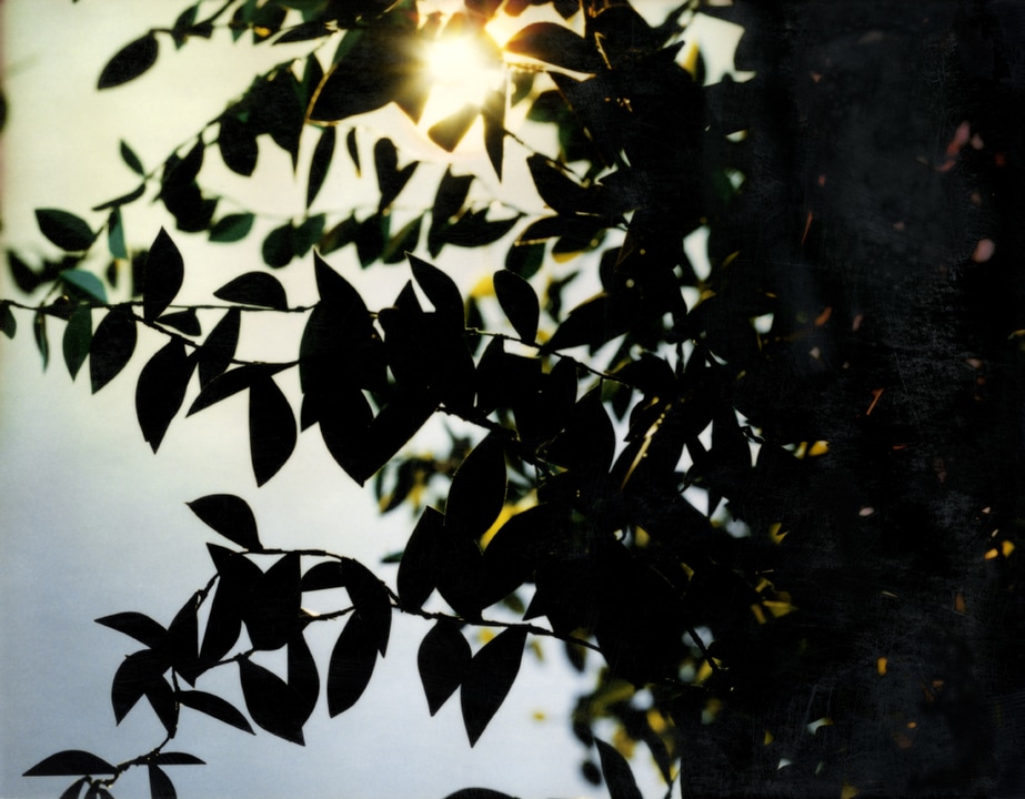 Flare. Thomas Demand. Coleccion Jumex