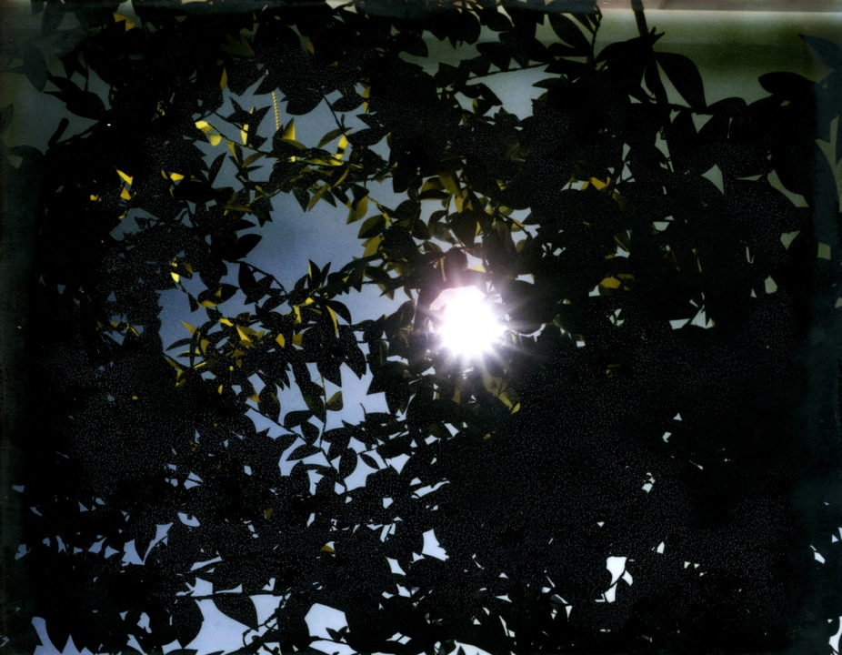 Flare. Thomas Demand. Coleccion Jumex