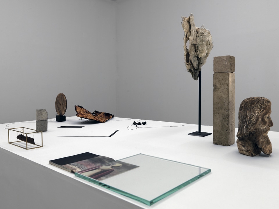 Bove LaTraverseeDifficile. coleccion jumex