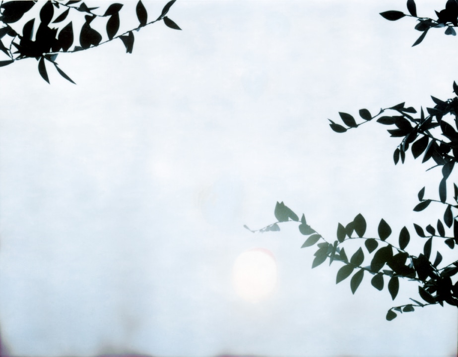 Flare08_400dpi.jpgFlare. Thomas Demand. Coleccion Jumex