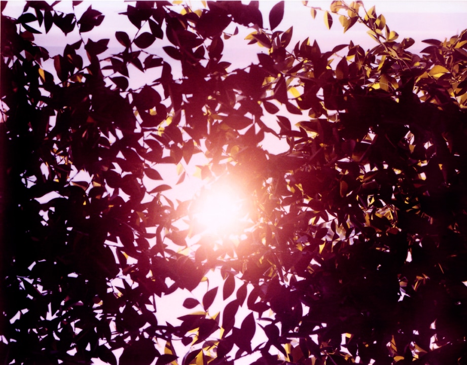 Flare. Thomas Demand. Coleccion Jumex