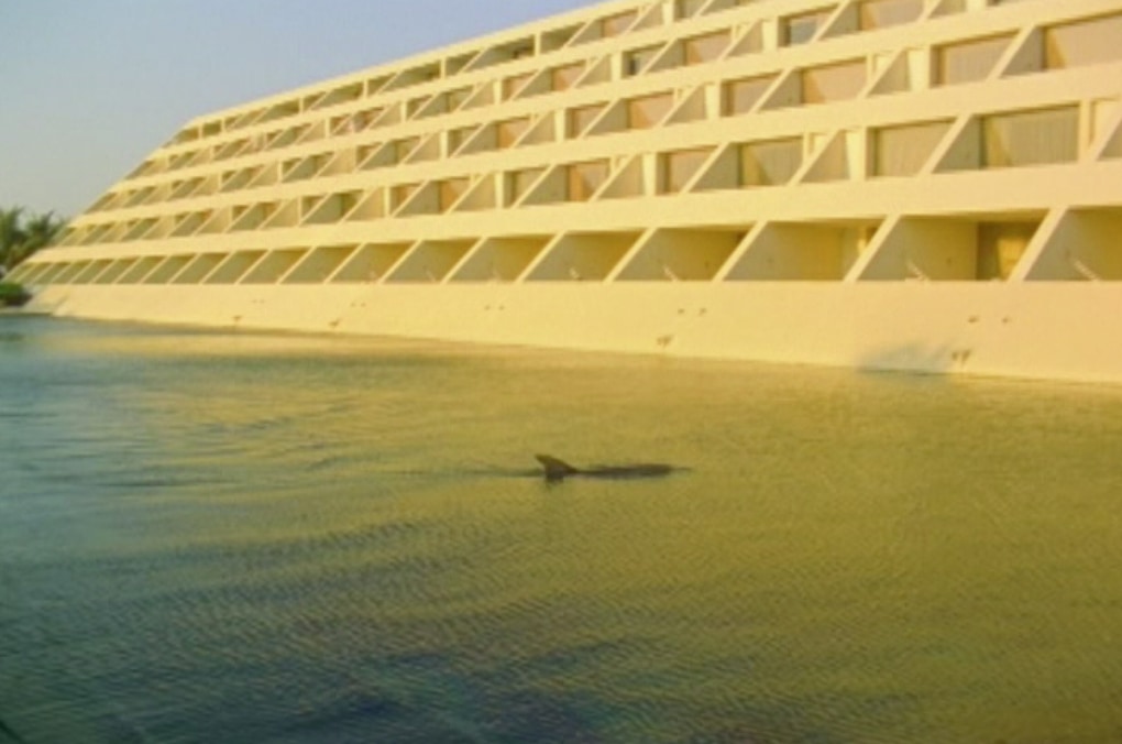 Cyprien Gallard. Cities of Gold and Mirrors. Colección Jumex