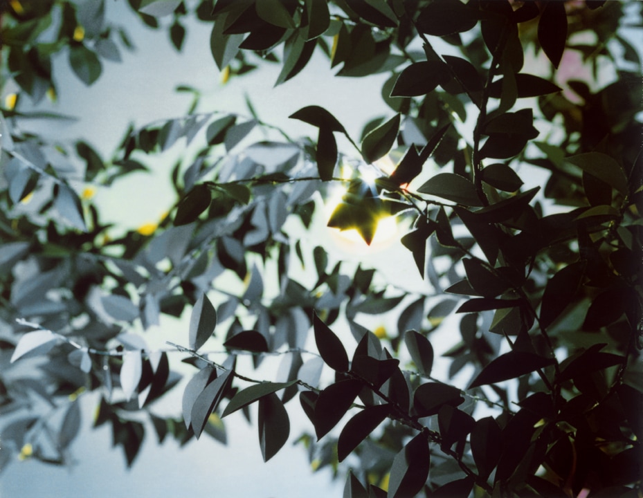 Flare. Thomas Demand. Coleccion Jumex