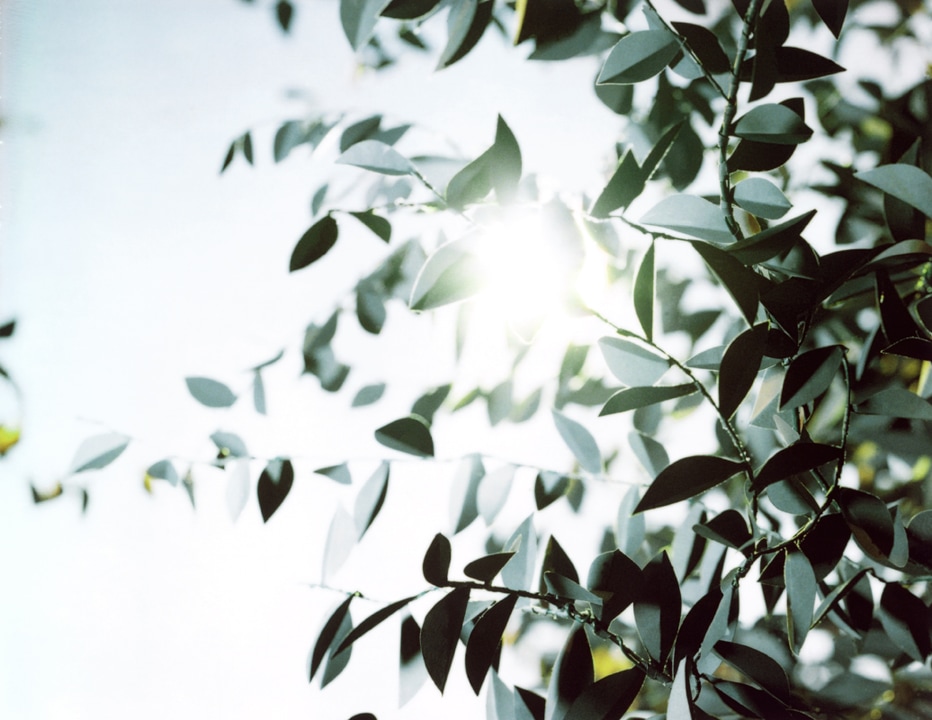 Flare. Thomas Demand. Coleccion Jumex